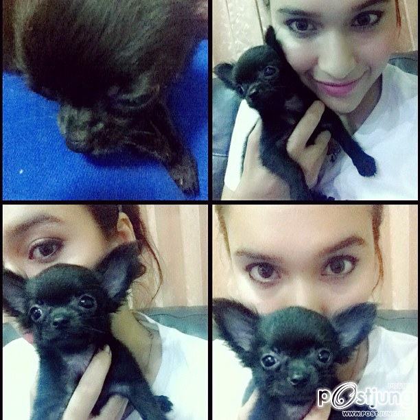 หยาดทิพย์ ราชปาล