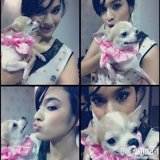 หยาดทิพย์ ราชปาล