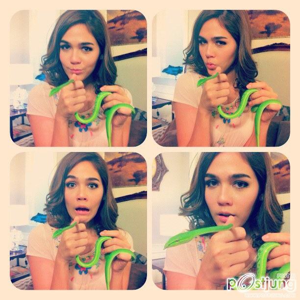 อารยา เริ่ดๆ