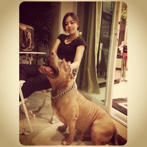 PIC : นิวเคลียร์ หรรษา