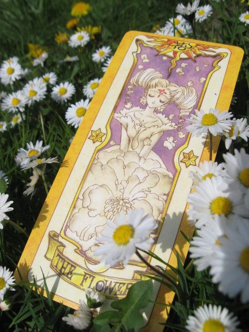 คนรัก Cardcaptor Sakura