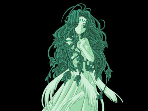 คนรัก Cardcaptor Sakura