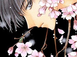 คนรัก CLAMP BOYS