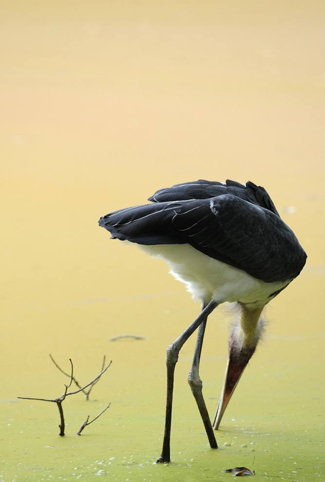 มองให้อาร์ท 33