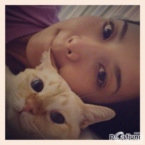 จั๊กจั่น