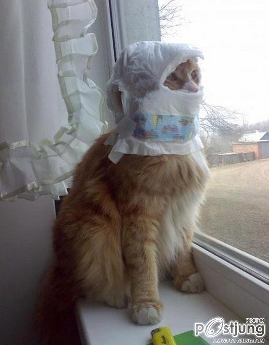 ฮาาาๆๆๆๆๆๆคลายเครียดนะเพค่ะ!