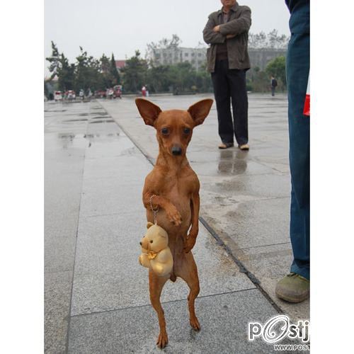 ฮาาาๆๆๆๆๆๆคลายเครียดนะเพค่ะ!