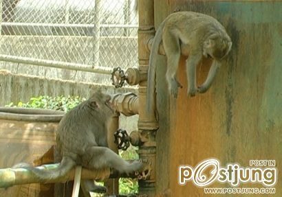 ฮาาาๆๆๆๆๆๆคลายเครียดนะเพค่ะ!