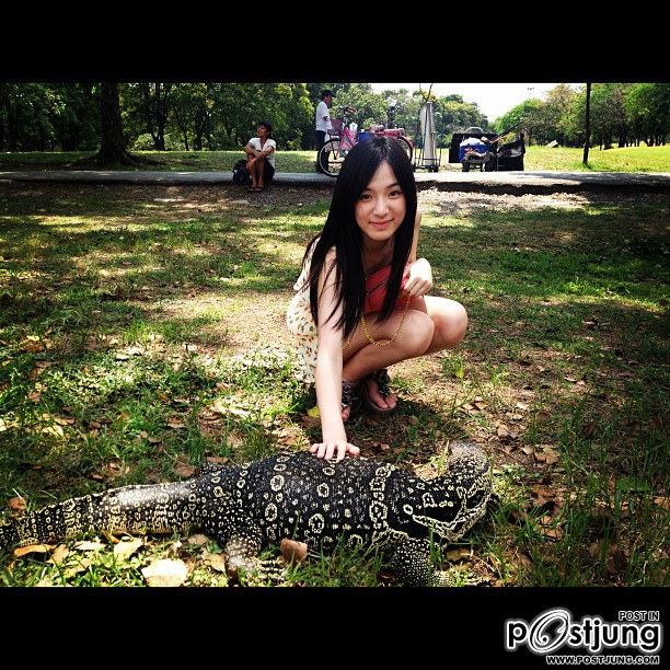 ปัน ปัน ใสมากกก