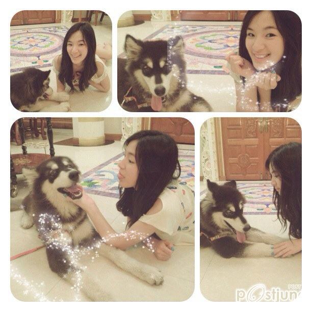 ปัน ปัน ใสมากกก