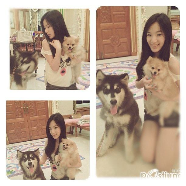 ปัน ปัน ใสมากกก