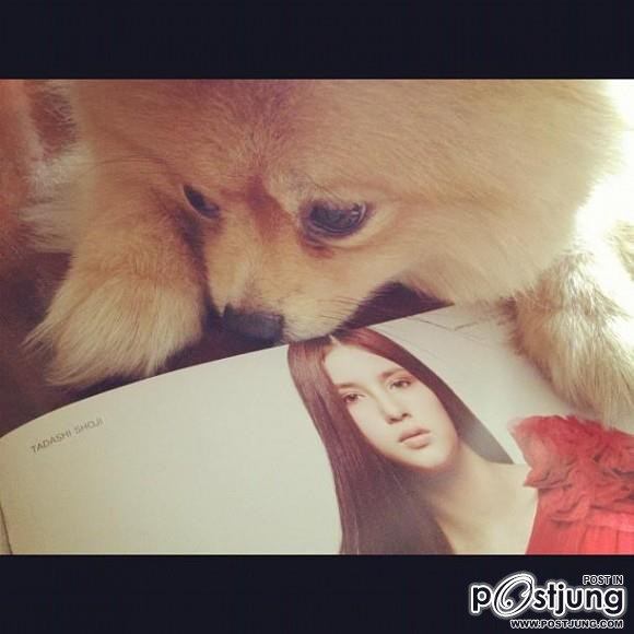 ดารา กะน้องหมา