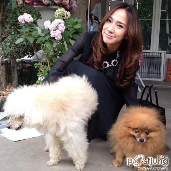 ดารา กะน้องหมา