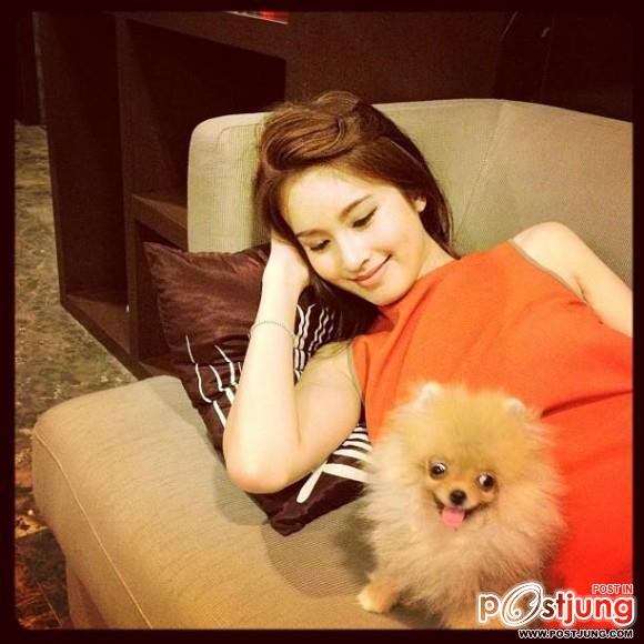 ดารา กะน้องหมา