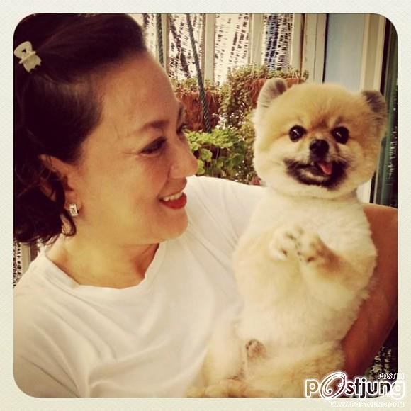 ดารา กะน้องหมา