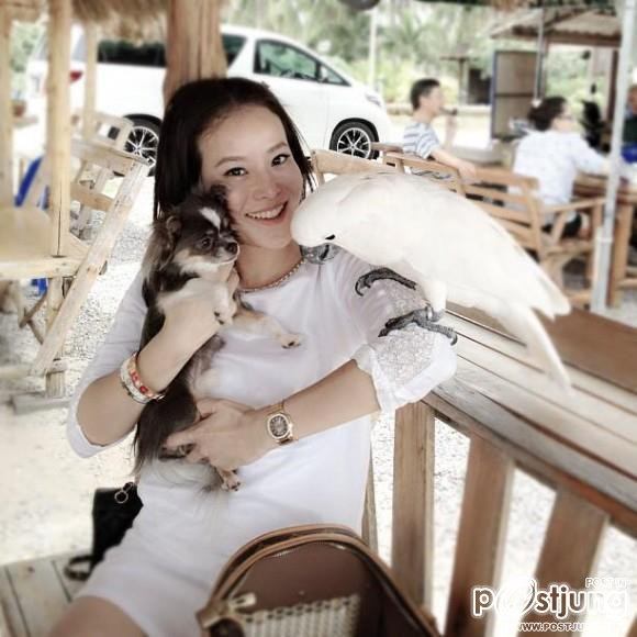 ดารา กะน้องหมา