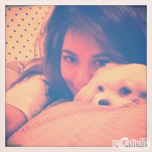 ดารา กะน้องหมา