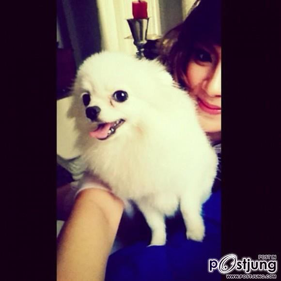 ดารา กะน้องหมา