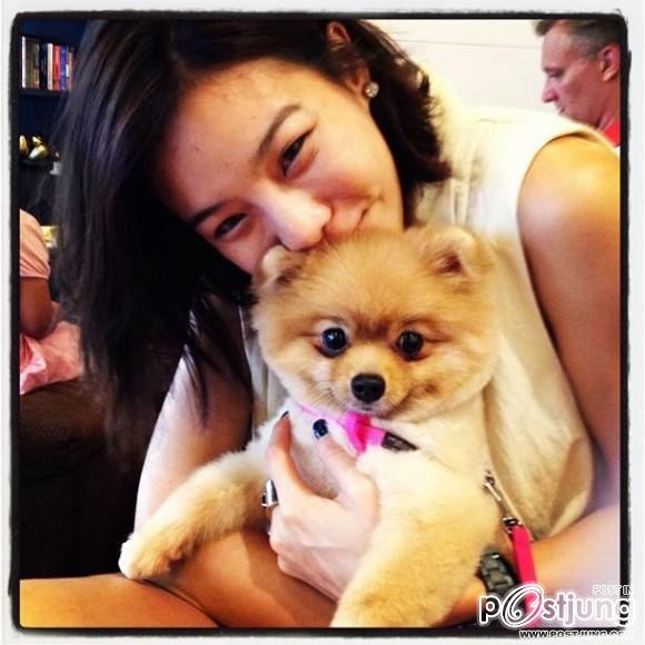 ดารา กะน้องหมา