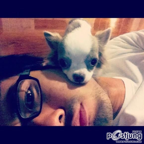 ดารา กะน้องหมา