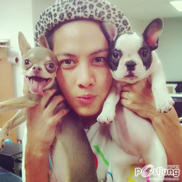 ดารา กะน้องหมา