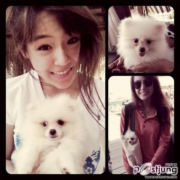 ดารา กะน้องหมา