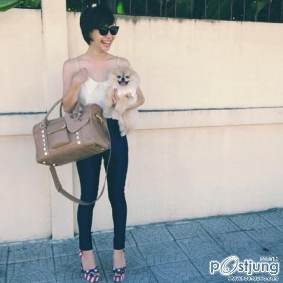 ดารา กะน้องหมา