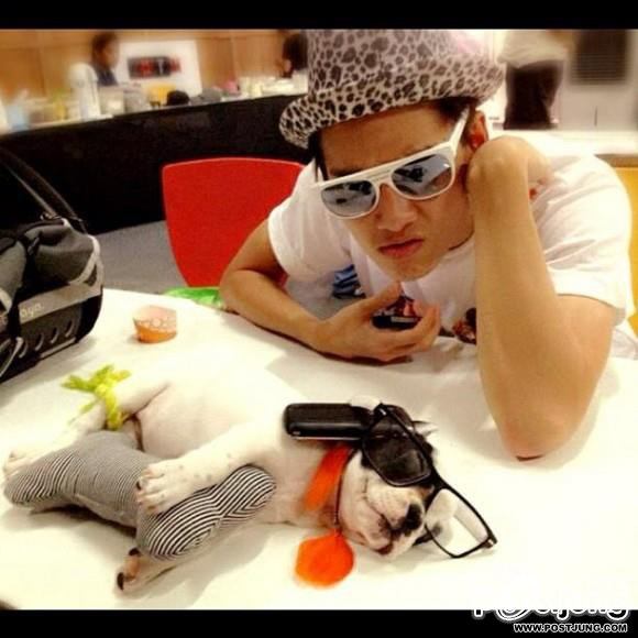 ดารา กะน้องหมา