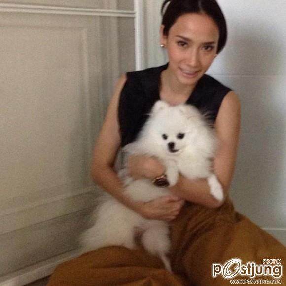 ดารา กะน้องหมา