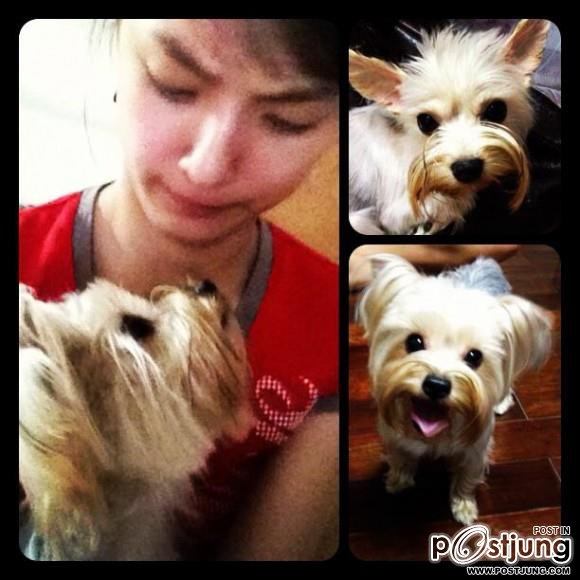 ดารา กะน้องหมา