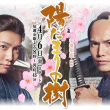 Hidamari no Ki 陽だまりの樹