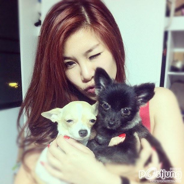 ฝ้าย แอมไฟน์