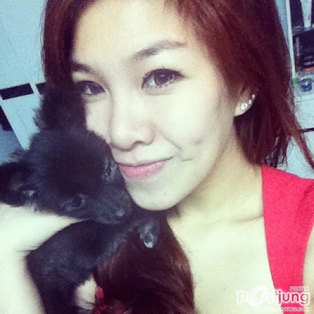 ฝ้าย แอมไฟน์