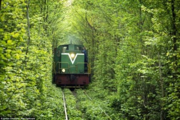 เผยโฉม ทางรถไฟแสนโรแมนติก ที่ยูเครน