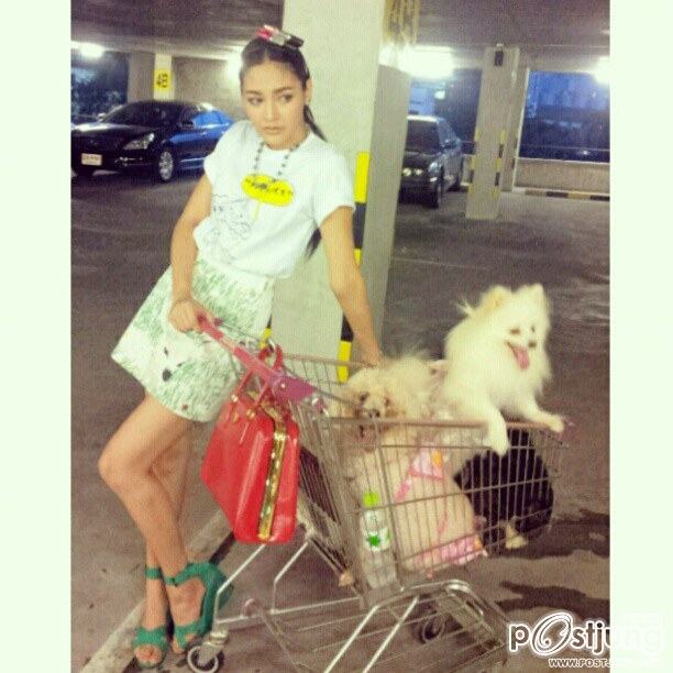 ปุ๊กลุ๊ค ฝนทิพย์