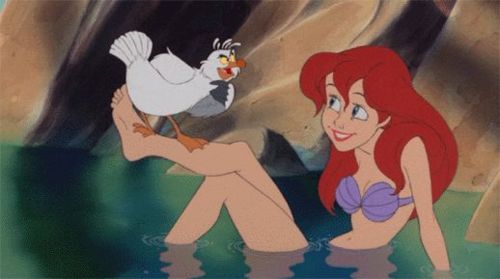 คนรัก The Little Mermaid