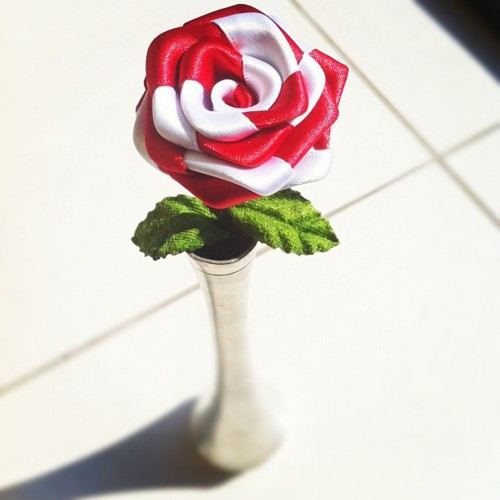 คนรัก alice in wonderland