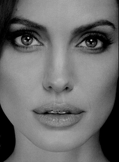 คนรัก Angelina Jolie