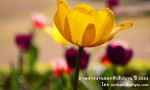 อุดรธานี Udonthani