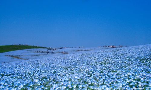 มองให้อาร์ท 38