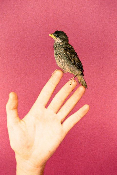 มองให้อาร์ท 38