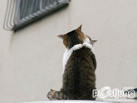 รักกัน กอดกันๆๆๆ