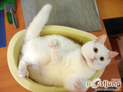 ขาวจั๊วว