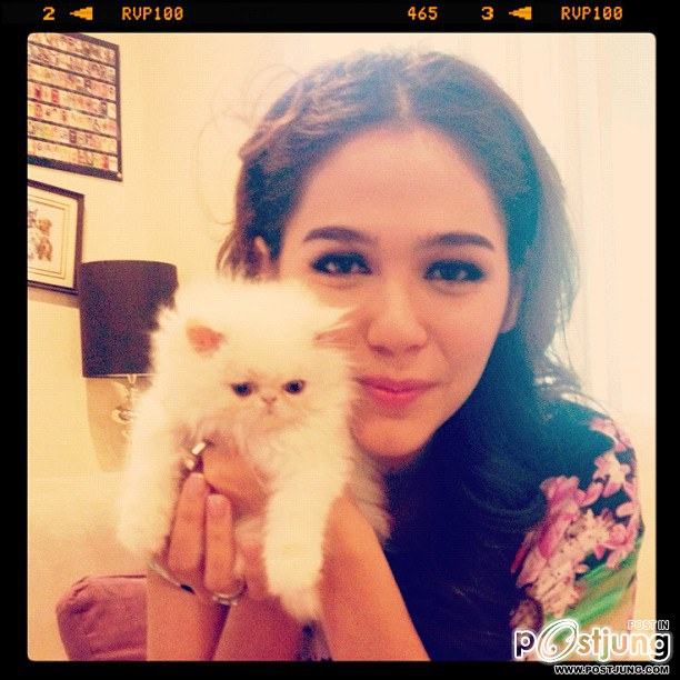 ชมพู่ อารยา