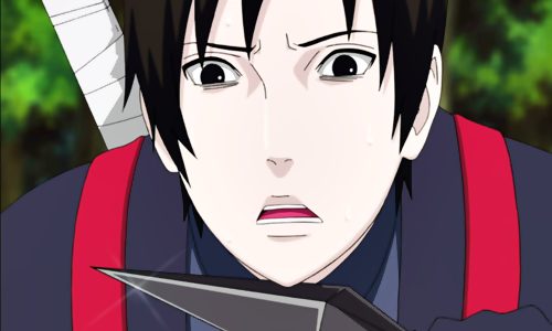 วิถีนินจาของฉัน 2