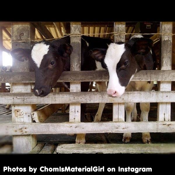 นับดาว.....ว้าว!....แซ่บ   มาแล้วจร้า   By   ชมพู่ อารยา