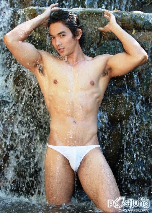 เห็นหมีๆ