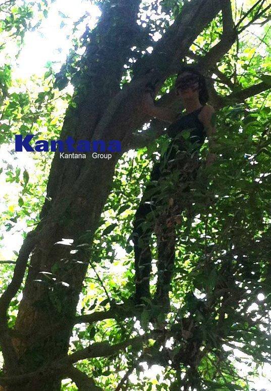 เบื้องหลังกองถ่ายป่านางเสือ2 ยุ้ย จีรนันทื์น่ารักมาก