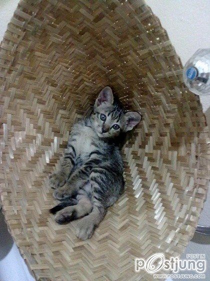 อั้ม พัชราภา นางเอกผู้ใจบุญ !!