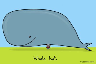 คนรัก ปลาวาฬ